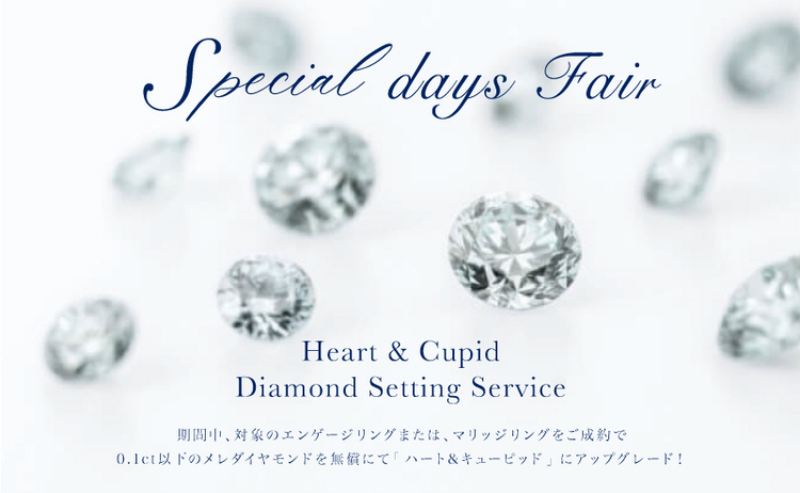 Special days Fair