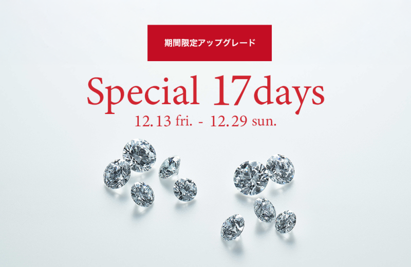 Special 17days Fair